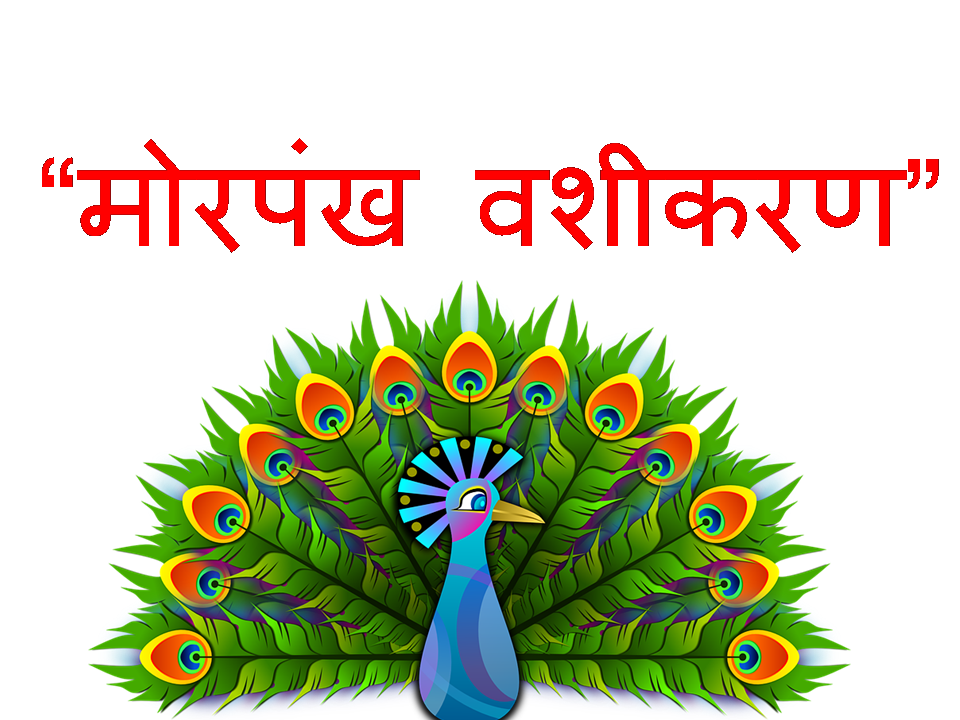 Mor pankh se vashikaran in hindi